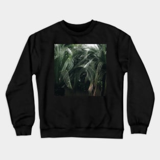 Jungle Palms Crewneck Sweatshirt